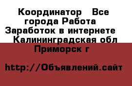 ONLINE Координатор - Все города Работа » Заработок в интернете   . Калининградская обл.,Приморск г.